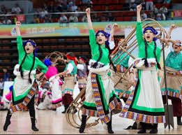 解析弗拉迪米尔葛雷诺如何继承父亲的怪力并在现代数据中进化