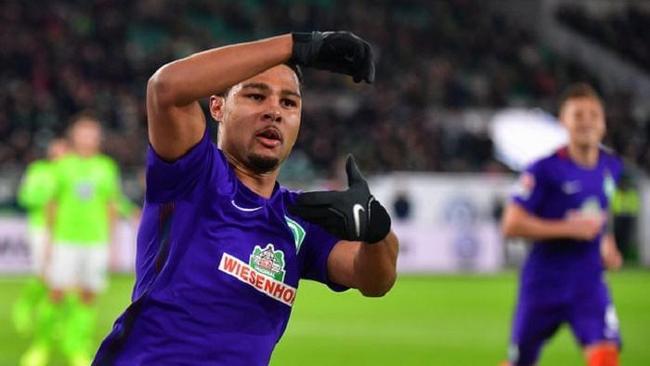 本赛季多场 本赛季多场