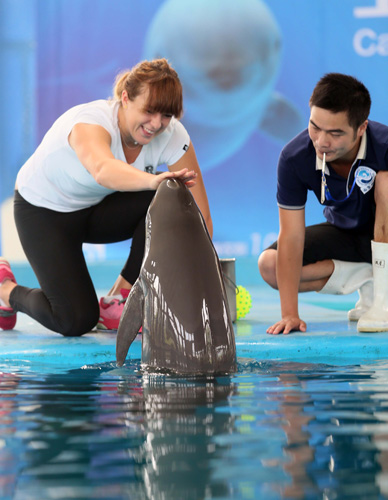 从战术角度 从战术角度